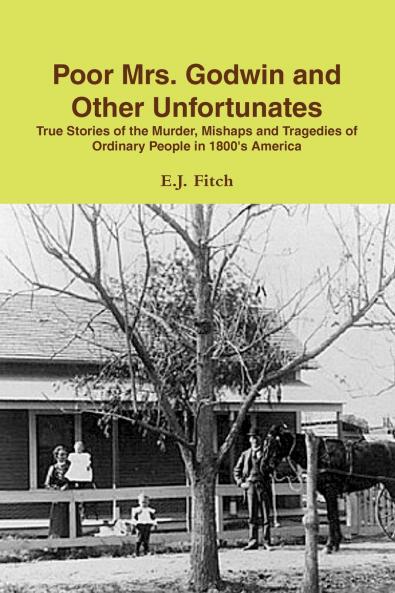 Poor Mrs. Godwin and Other Unfortunates