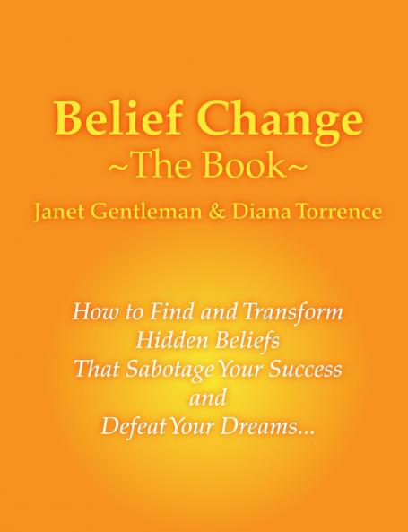 Belief Change - The Book