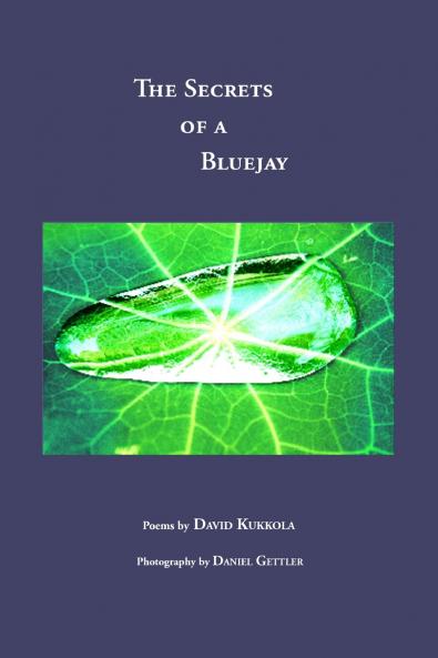 The Secrets of a Bluejay