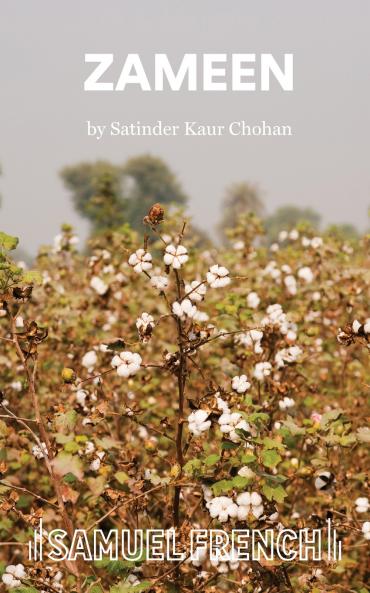 Zameen