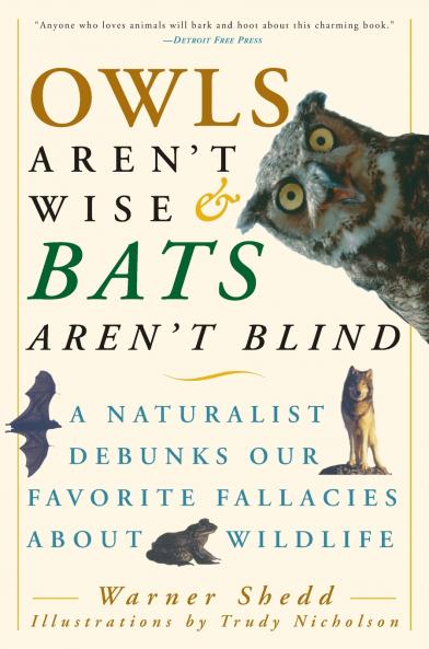 Owls Aren't Wise & Bats Aren't Blind
