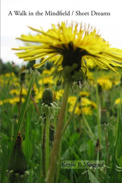 A Walk in the Mindfield / Short Dreams