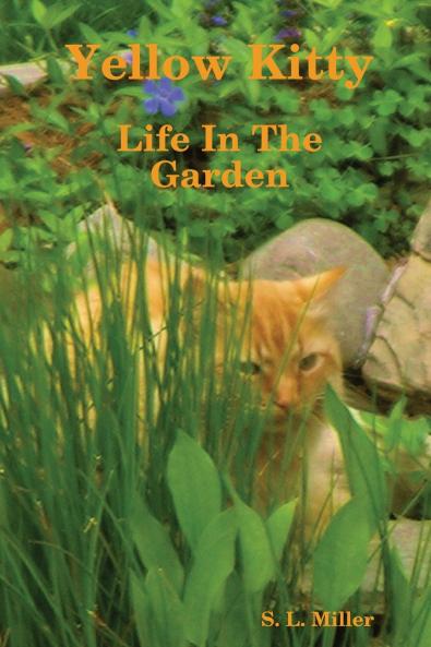 Yellow Kitty Life In The Garden
