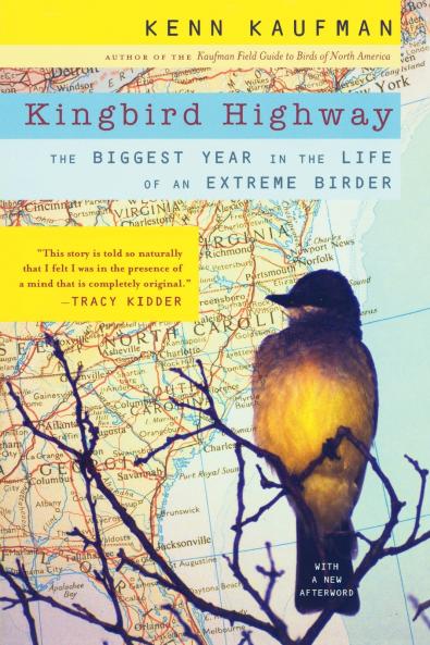 Kingbird Highway