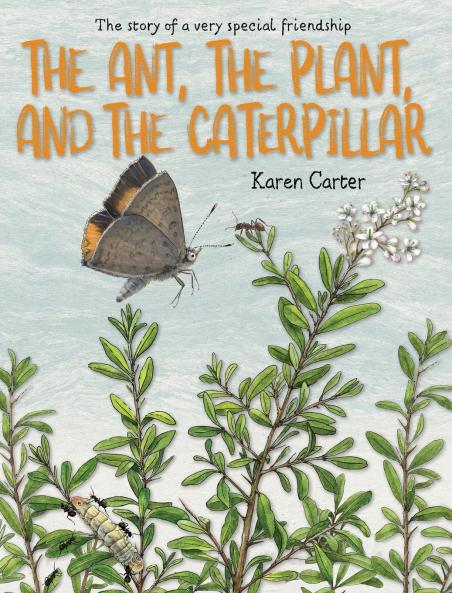 The Ant the Plant and the Caterpillar