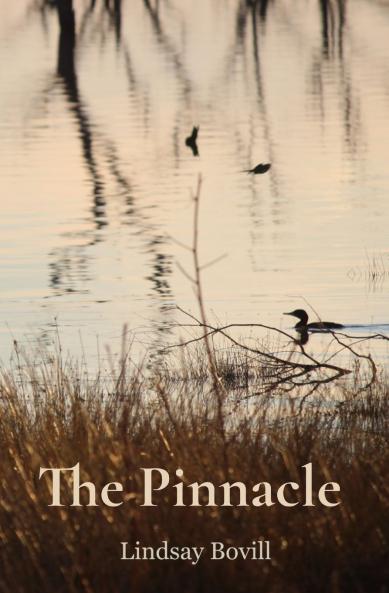 The Pinnacle