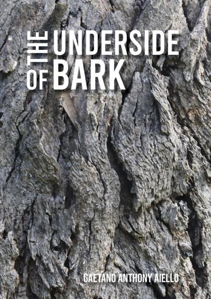The Underside of Bark