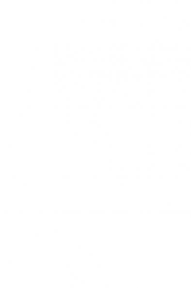 The Innovating Organization