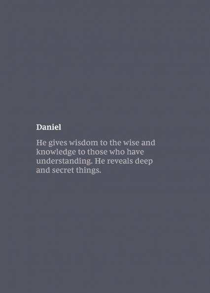 NKJV Bible Journal - Daniel Paperback Comfort Print | Softcover | Gray
