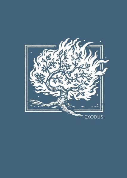 NET Abide Bible Journal - Exodus Paperback Comfort Print | Softcover