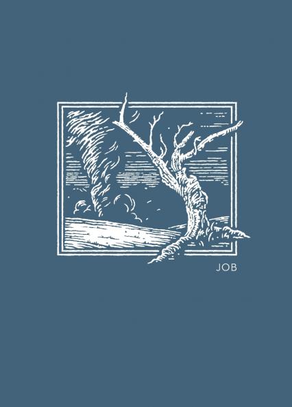 NET Abide Bible Journal - Job Paperback Comfort Print | Softcover