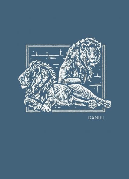 NET Abide Bible Journal - Daniel Paperback Comfort Print | Softcover