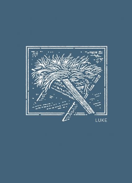 NET Abide Bible Journal - Luke Paperback Comfort Print | Softcover