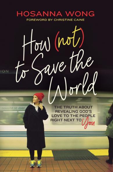 How (Not) to Save the World | Softcover
