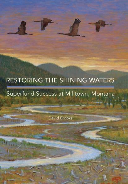 Restoring the Shining Waters