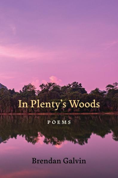In Plenty's Woods