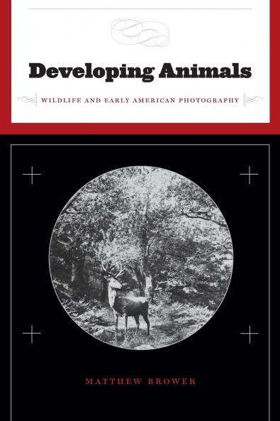 Developing Animals
