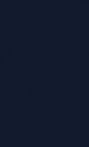 The Ineffective Soldier V2