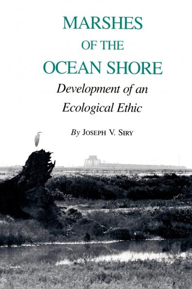 Marshes of the Ocean Shore