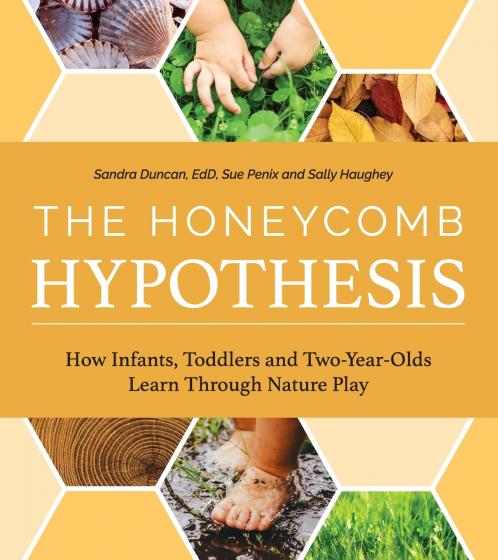 The Honeycomb Hypothesis