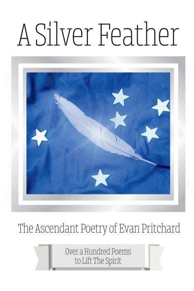 A Silver Feather