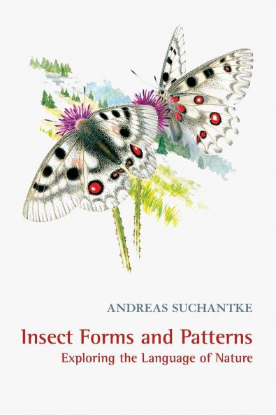 Insect Forms and Patterns Exploring the Language of Nature