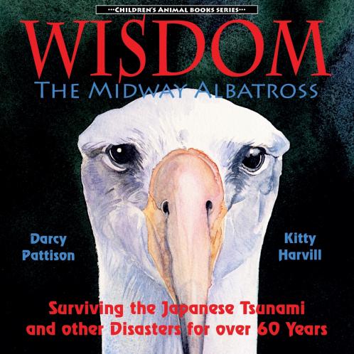 Wisdom the Midway Albatross