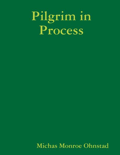 Pilgrim in Process
