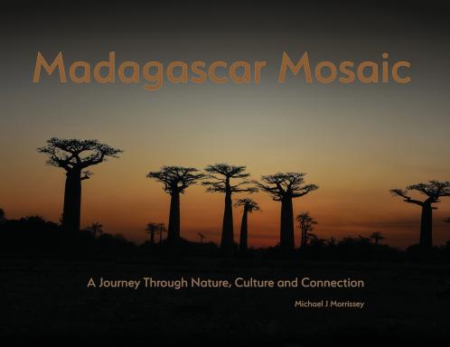 Madagascar Mosaic - A Journey Through Nature Culture and Connection