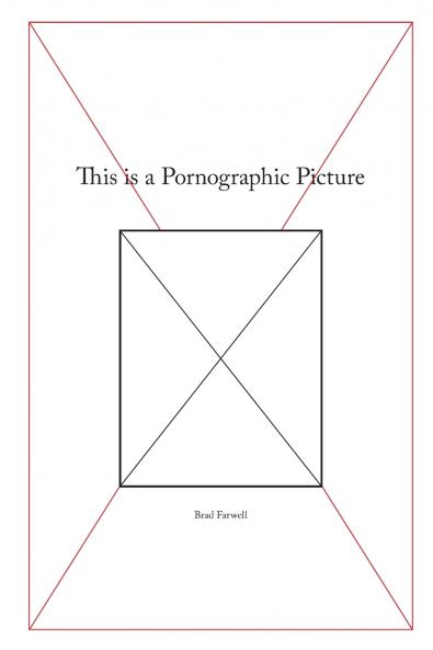 This is a Pornographic Picture (Paperback)