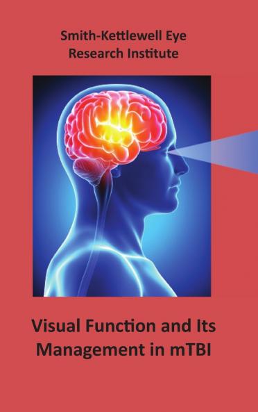 Visual Function and Its Management in mTBI