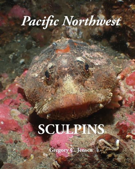Pacific Northwest Sculpins