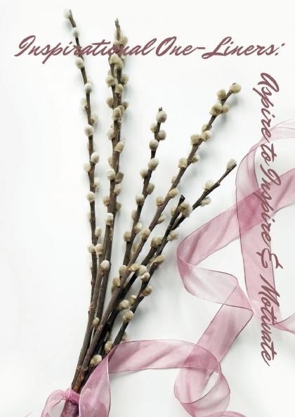 Inspirational One-Liners