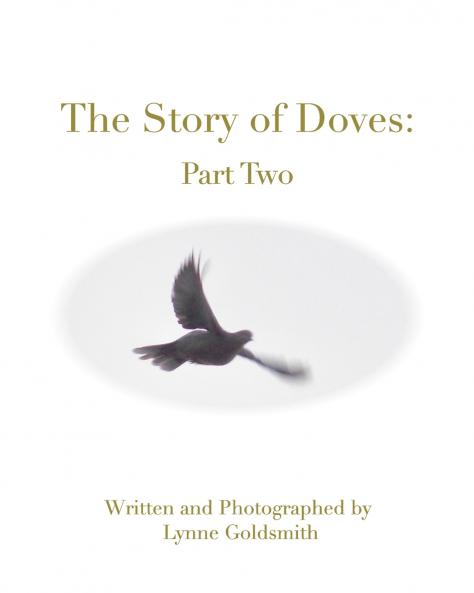 The Story of Doves