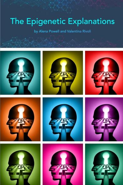 The Epigenetic Explanations