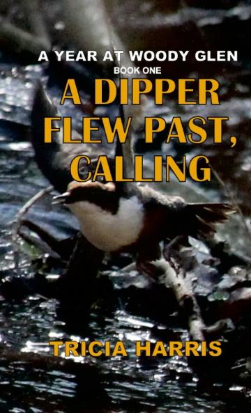 A Dipper Flew Past Calling