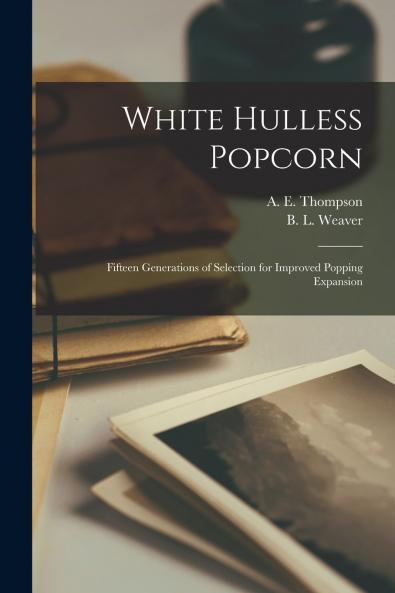 White Hulless Popcorn