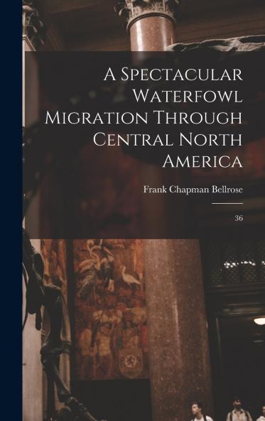 A Spectacular Waterfowl Migration Through Central North America