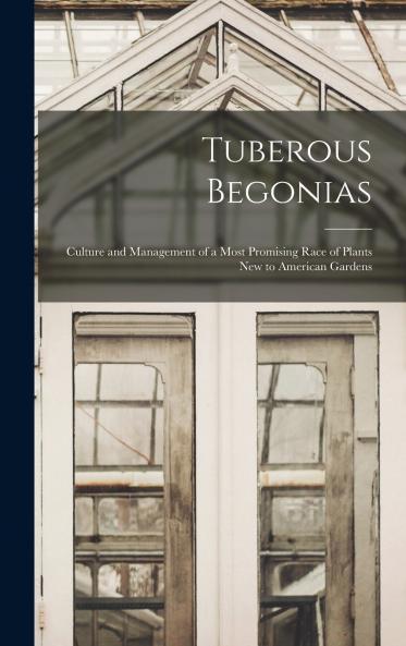 Tuberous Begonias; Culture and Management of a Most Promising Race of Plants new to American Gardens