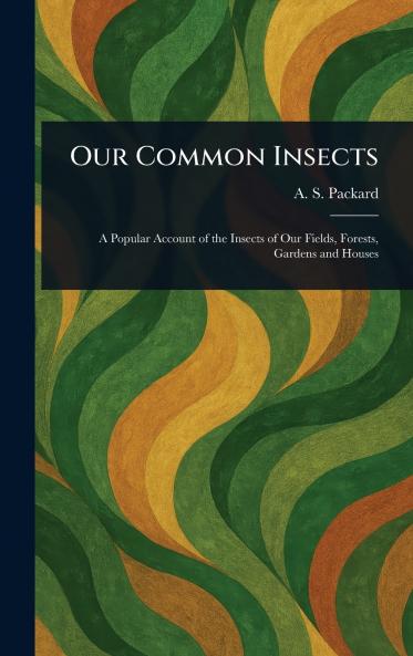 Our Common Insects