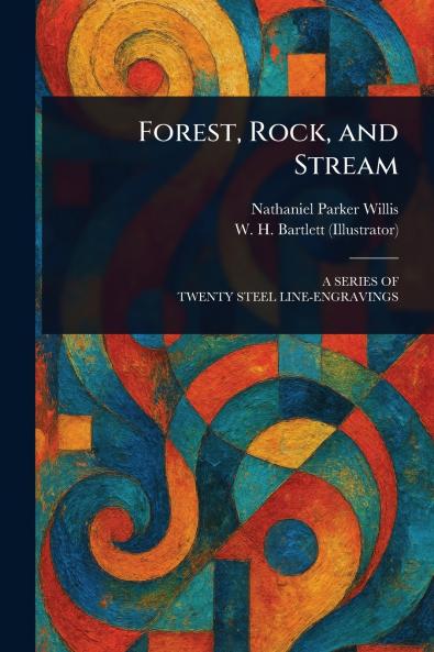 Forest Rock and Stream