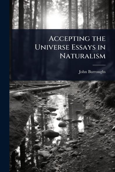 Accepting the Universe Essays in Naturalism
