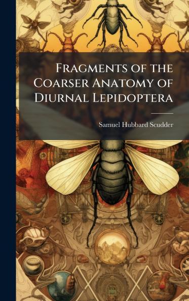 Fragments of the Coarser Anatomy of Diurnal Lepidoptera