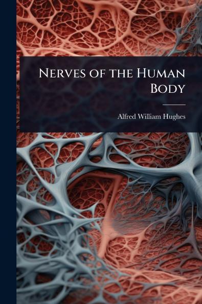 Nerves of the Human Body