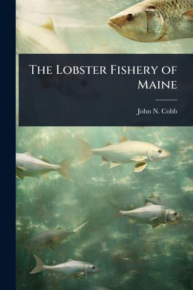 Lobster Fishery of Maine