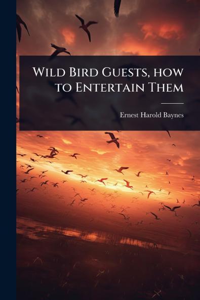 Wild Bird Guests how to Entertain Them