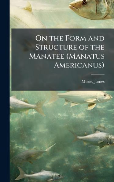 On the Form and Structure of the Manatee (Manatus Americanus)