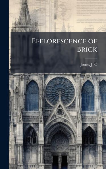 Efflorescence of Brick