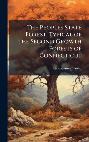 The Peoples State Forest Typical of the Second Growth Forests of Connecticut