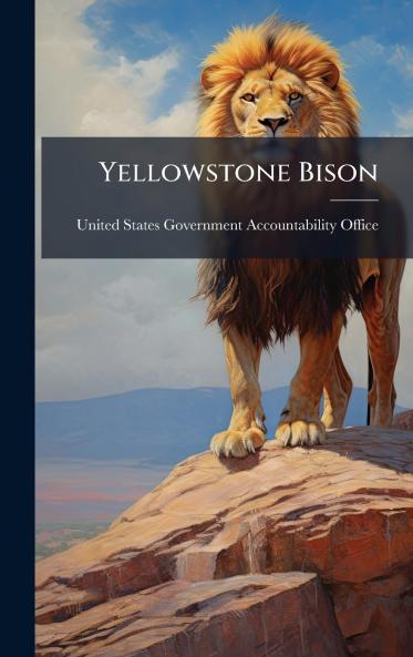 Yellowstone Bison